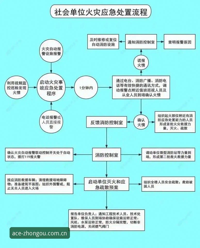 行家里手的目光2025赛程实用指南：收藏版操作与兼容性必备知识
